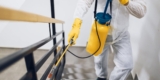Bug Off! Your Ultimate Guide to Pest Control in Yorkville, IL
