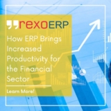 How ERP Brings Increased Productivity for the Financial Sector.