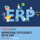 Improving Efficiency With Enterprise Resource Planning.