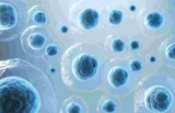 Strategies and Challenges for the Next Generation of Antibody-Drug Conjugates