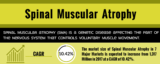 Spinal Muscular Atrophy Pipeline