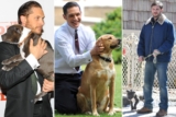 Venom Star Tom Hardy Voted World’s Hottest Dog Lover 2019